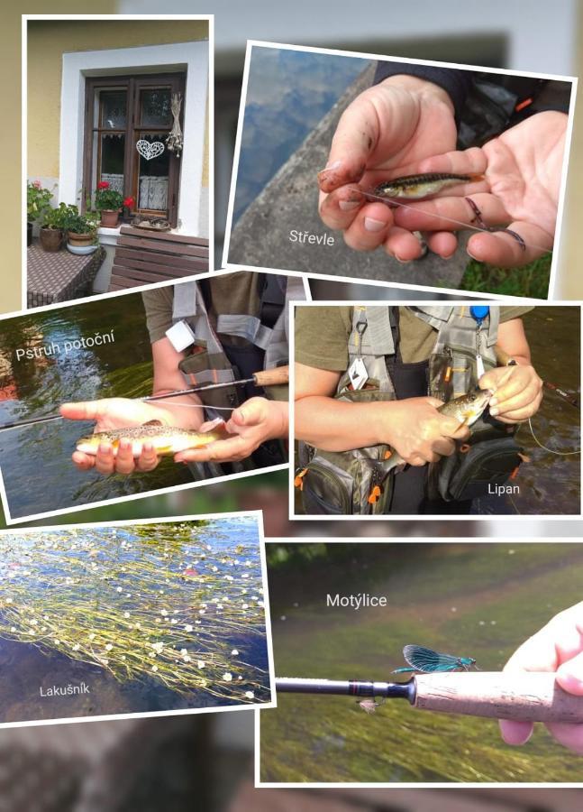 Ubytovani U Lavky Suchovrsice Exteriér fotografie
